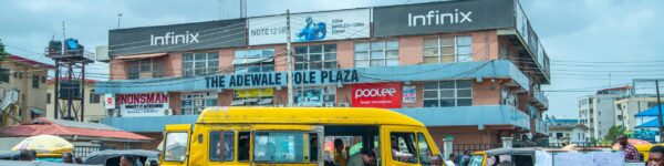 pexels-david-iloba-28486424-16155218